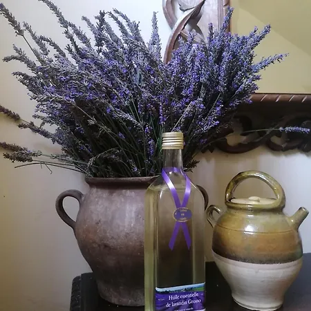 Pensionat Le Clos De La Chardonniere